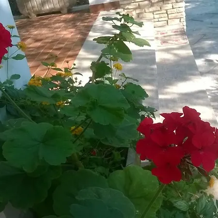 Il Villino Bed & Breakfast Torre dell'Orso